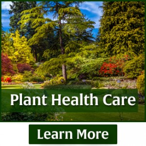rasmussen-spray-service-plant-health-care